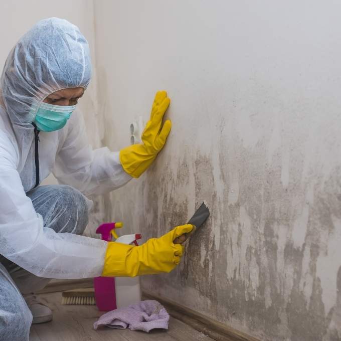 Mold Remediation In Nebraska	Near Me Mold Remediation In Nebraska	Near Me